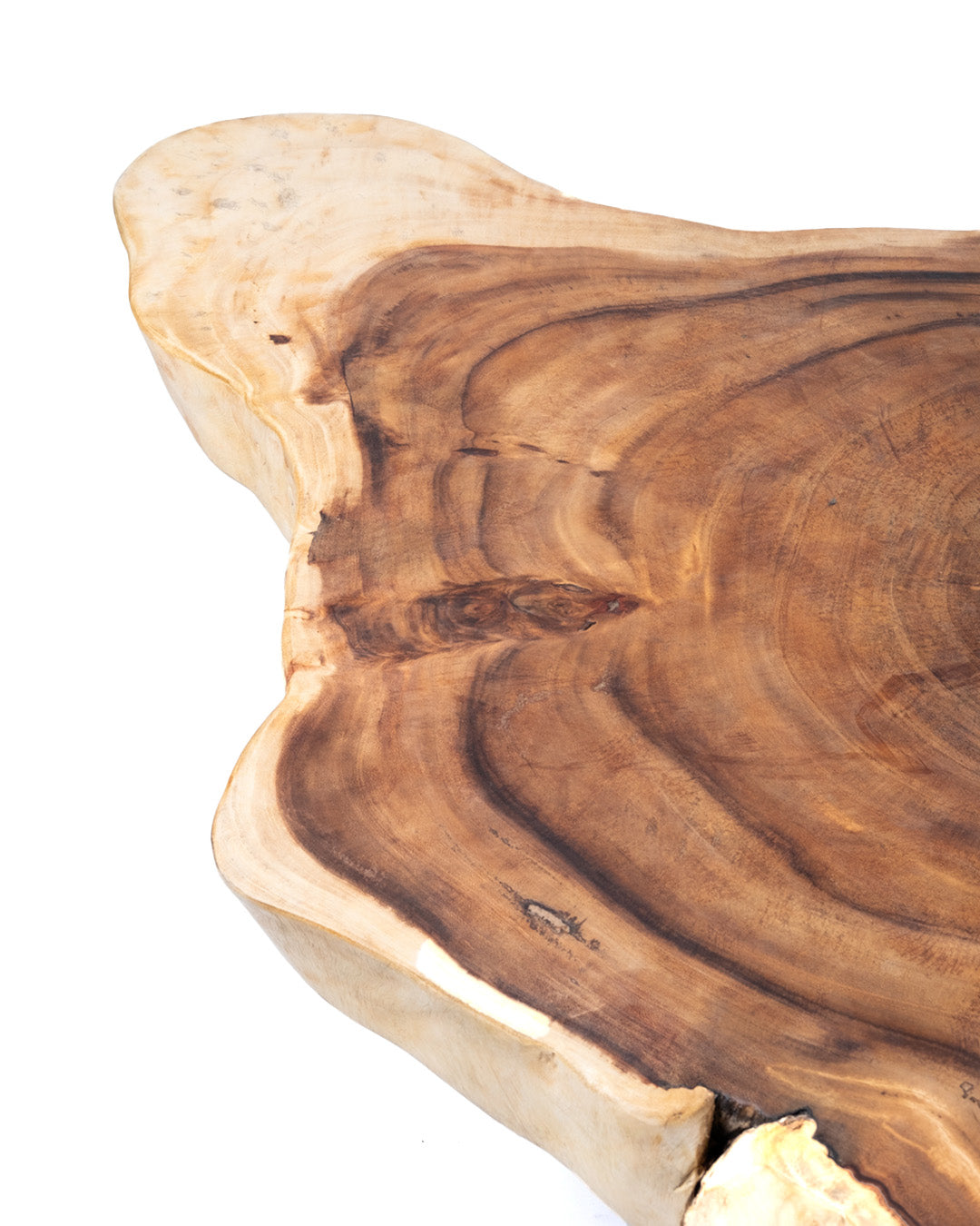 Mesa de centro de madera maciza natural de samán Samama tronco rustico, hecha a mano con acabado natural y patas de madera, 45 cm Alto 165 cm Largo 150 cm Profundidad, hecho en Indonesia