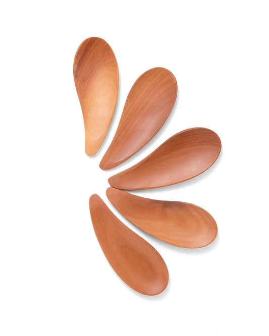 Pack of 5 Sibolga tasting spoons