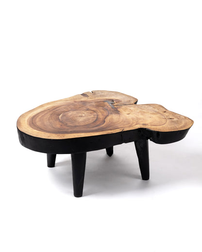 Mesa de centro de madera maciza natural de teca Bau Bau tronco rustico, hecho a mano acabado natural con detalles en negro, disponible en diferentes medidas, origen Indonesia