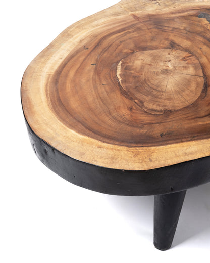 Mesa de centro de madera maciza natural de teca Bau Bau tronco rustico, hecho a mano acabado natural con detalles en negro, disponible en diferentes medidas, origen Indonesia