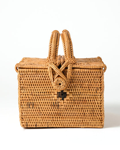 Caja Halus Mentawi