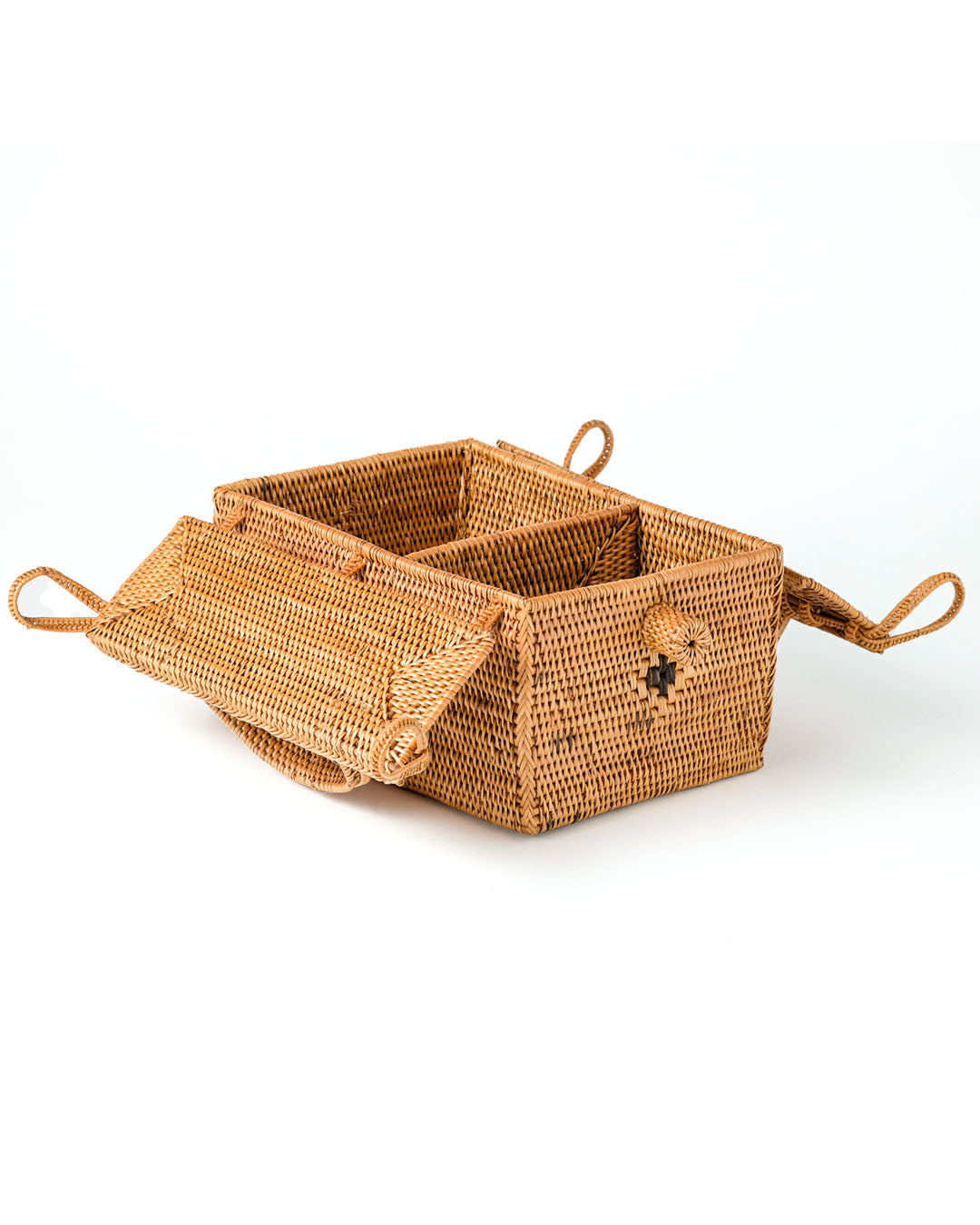 Caja Halus Mentawi